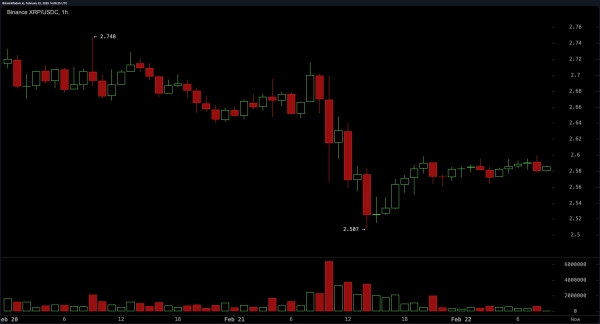 XRP Price Analysis: Crypto Traders Brace for a Wild Ride as XRP Approaches Critical Levels