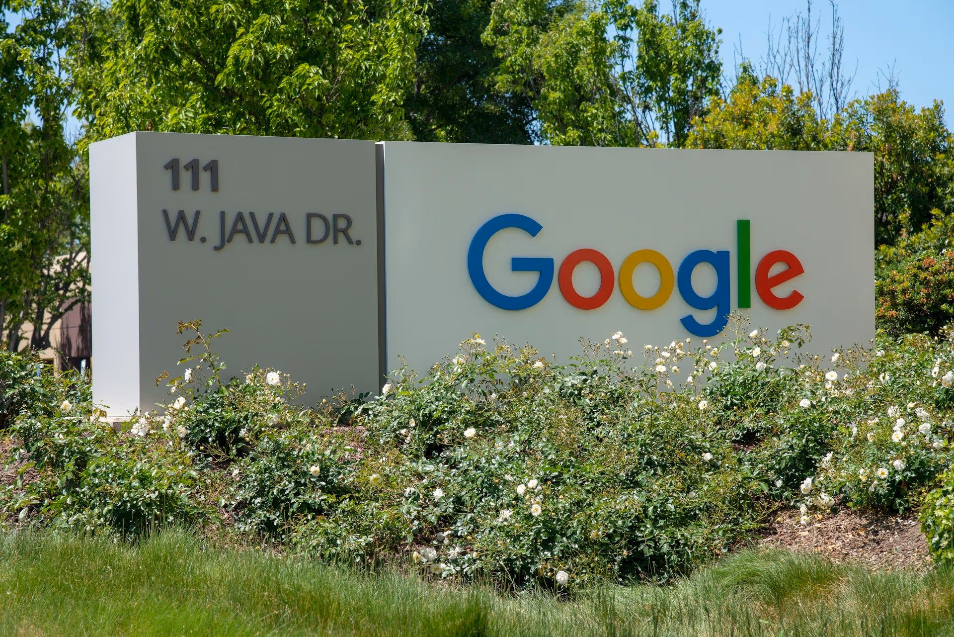 The Google logo in Sunnyvale, California (Greg Bulla/Unsplash)