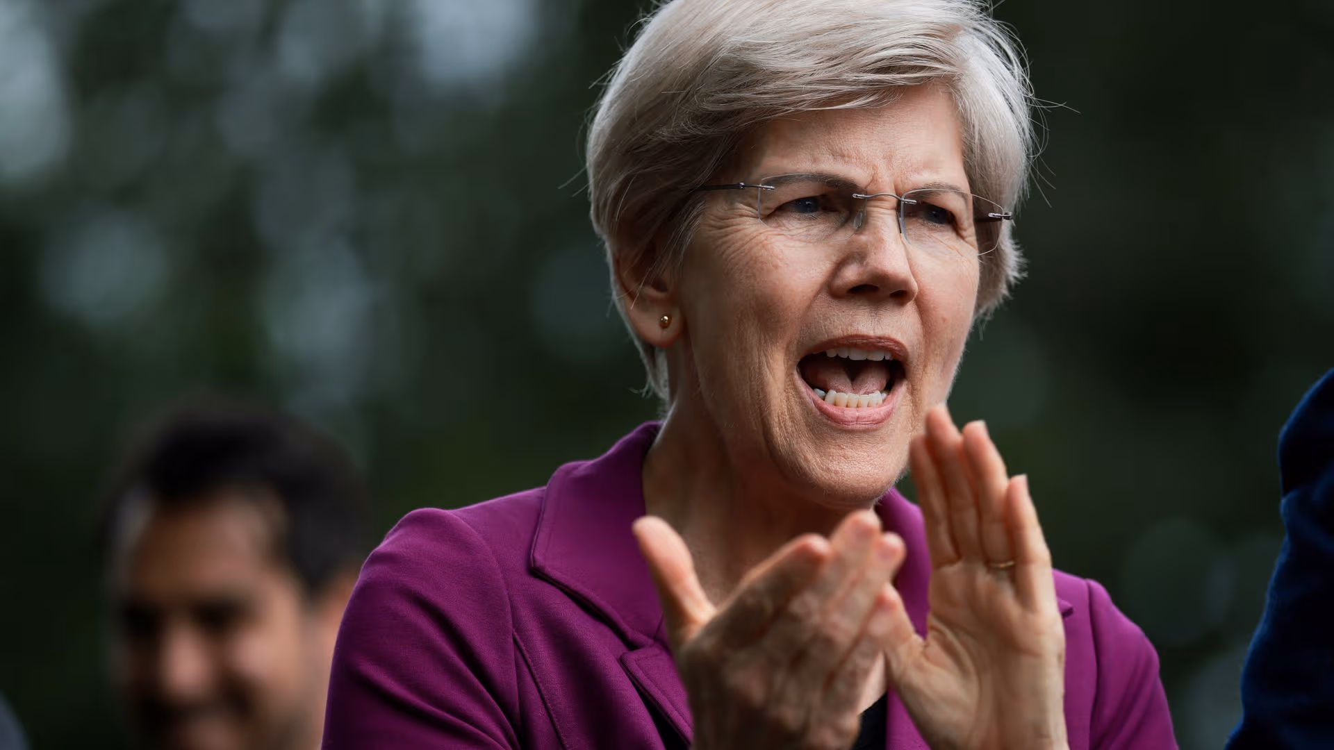 Senator Elizabeth Warren (Kayla Bartkowski/Getty Images)