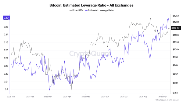 ELR Dynamics for BTC
