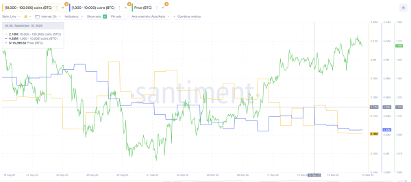 Sales by large Bitcoin holders: