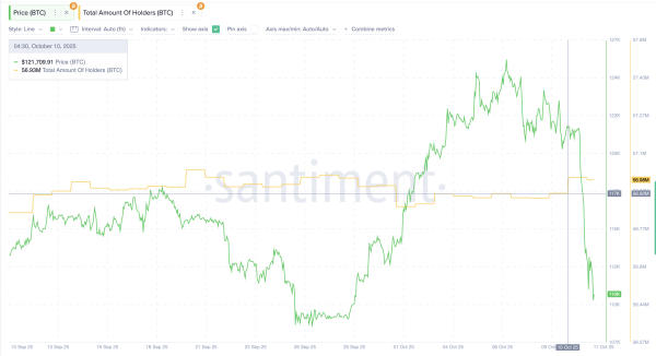 Increase in the number of Bitcoin holders