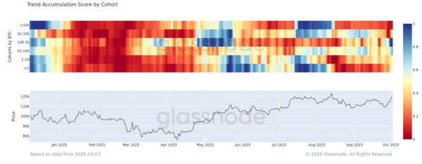 Bitcoin Trend Accumulation Index