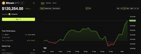 Bitcoin (BTC) Price Dynamics