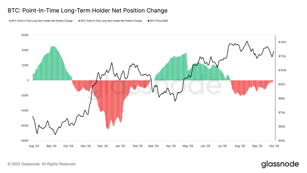 Change in the net position of Bitcoin holders