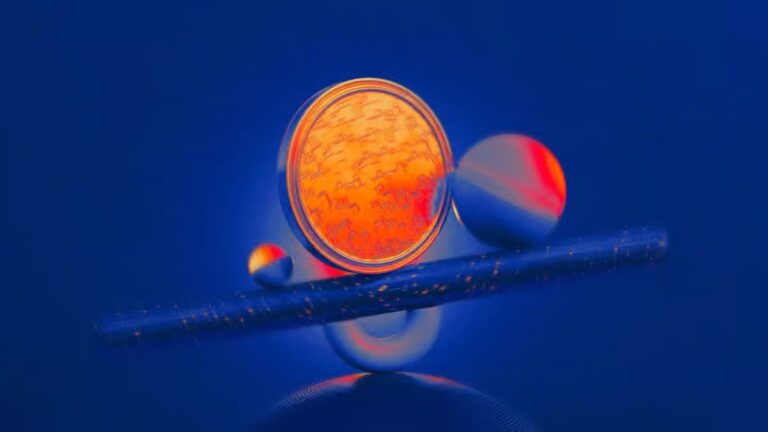 Citadel Securities Eyes Prediction Markets Beyond Sports 1