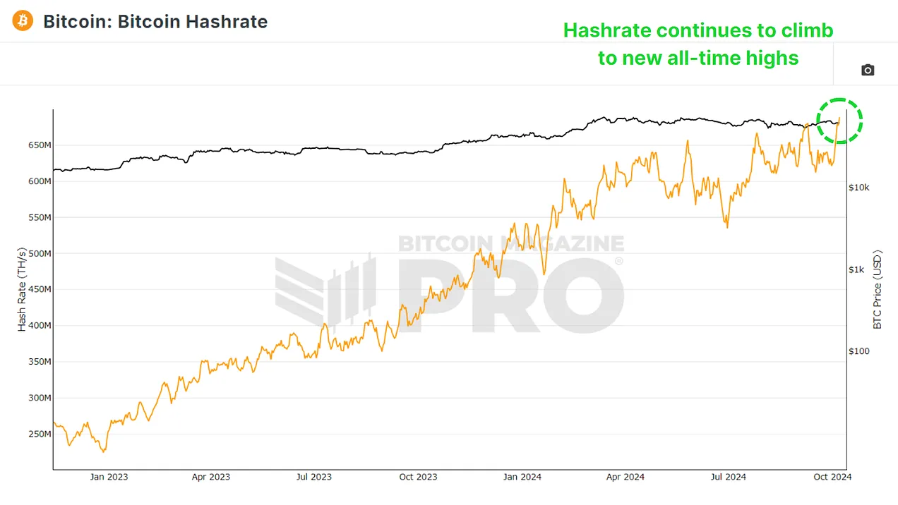 What Do Bitcoin Miners Anticipate Next? 15