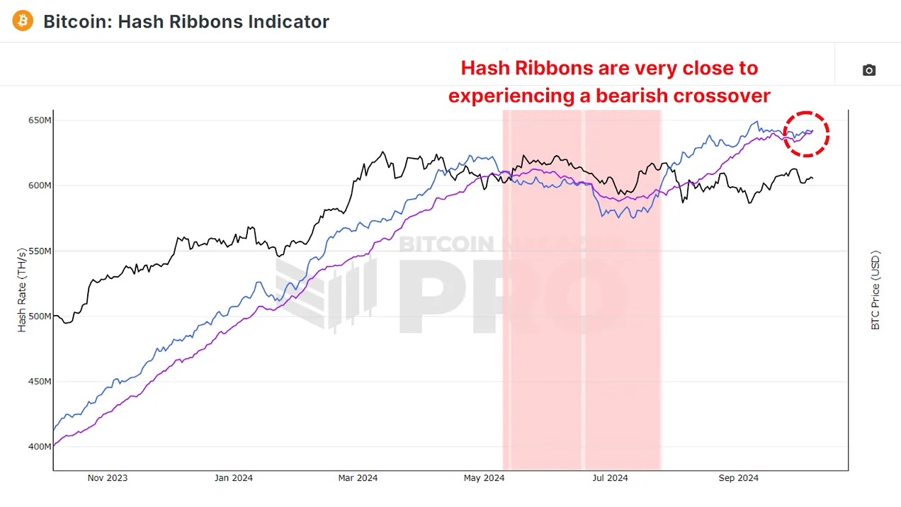 What Do Bitcoin Miners Anticipate Next? 16
