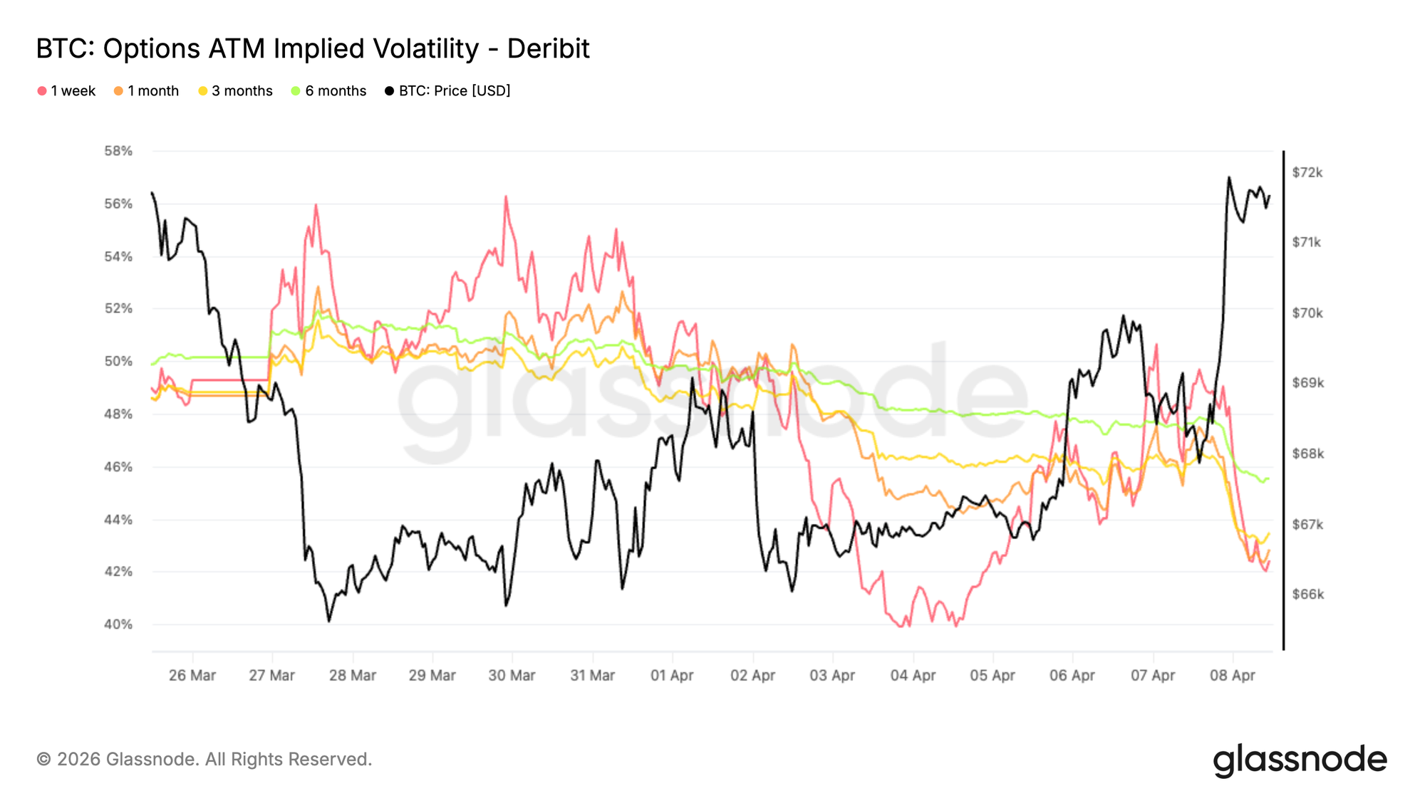 Bounce with a Bear 19