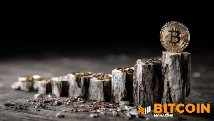 Le Bitcoin franchit la moitié du cycle de réduction de moitié alors que l’offre se resserre en vue de 2028