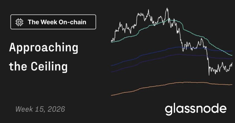 Rising Toward the Apex 6