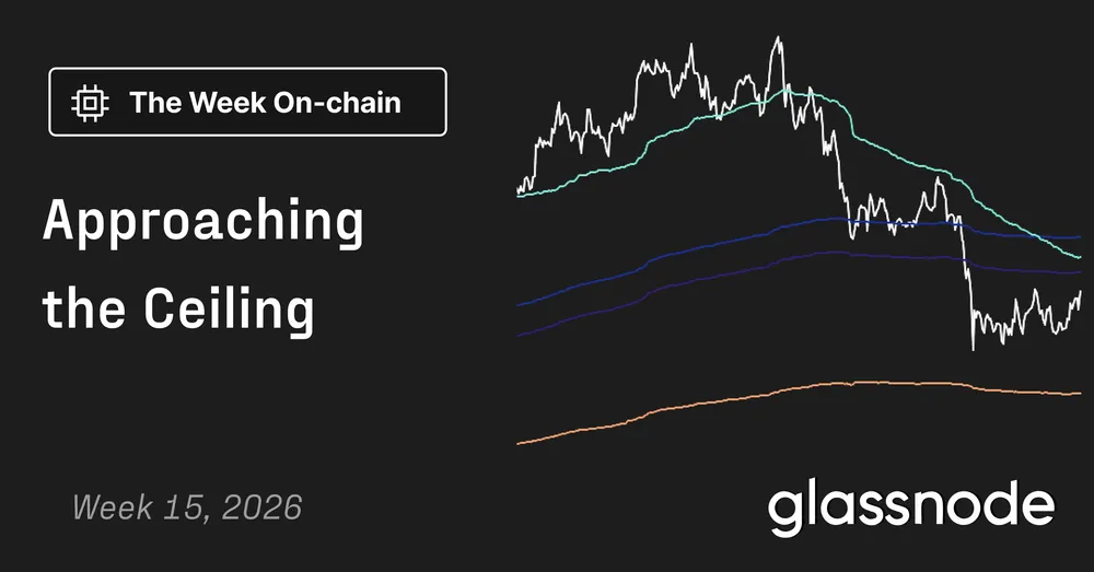 Rising Toward the Apex 12