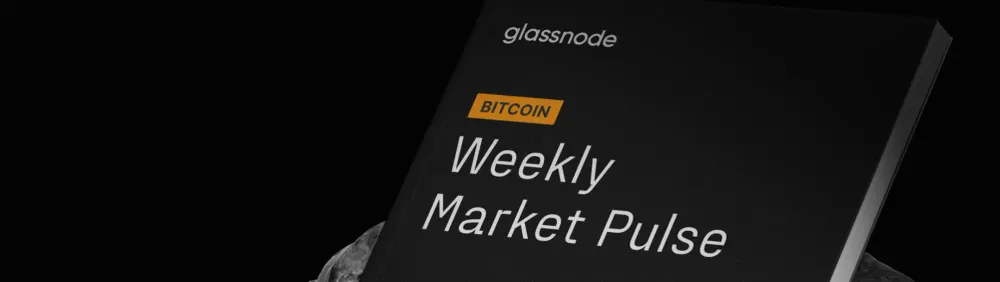 BTC Markt-Puls: Woche 14