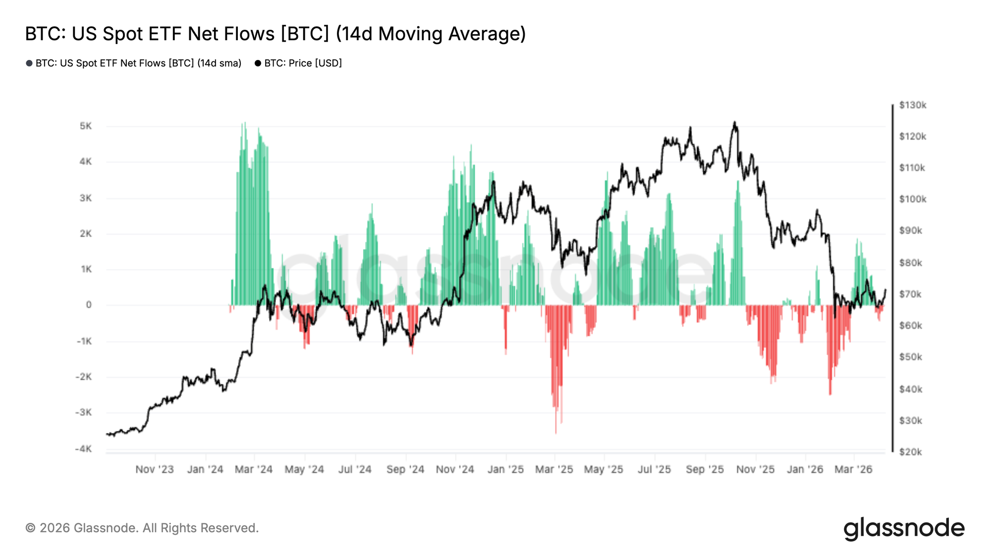Bounce with a Bear 17