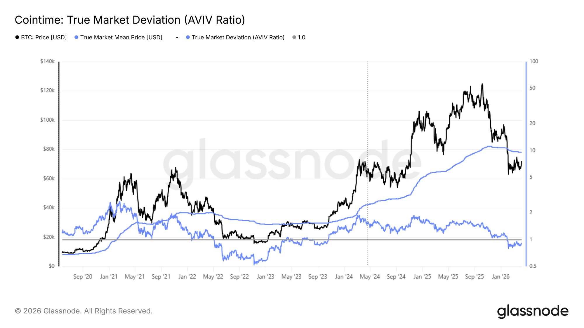 Bounce with a Bear 14