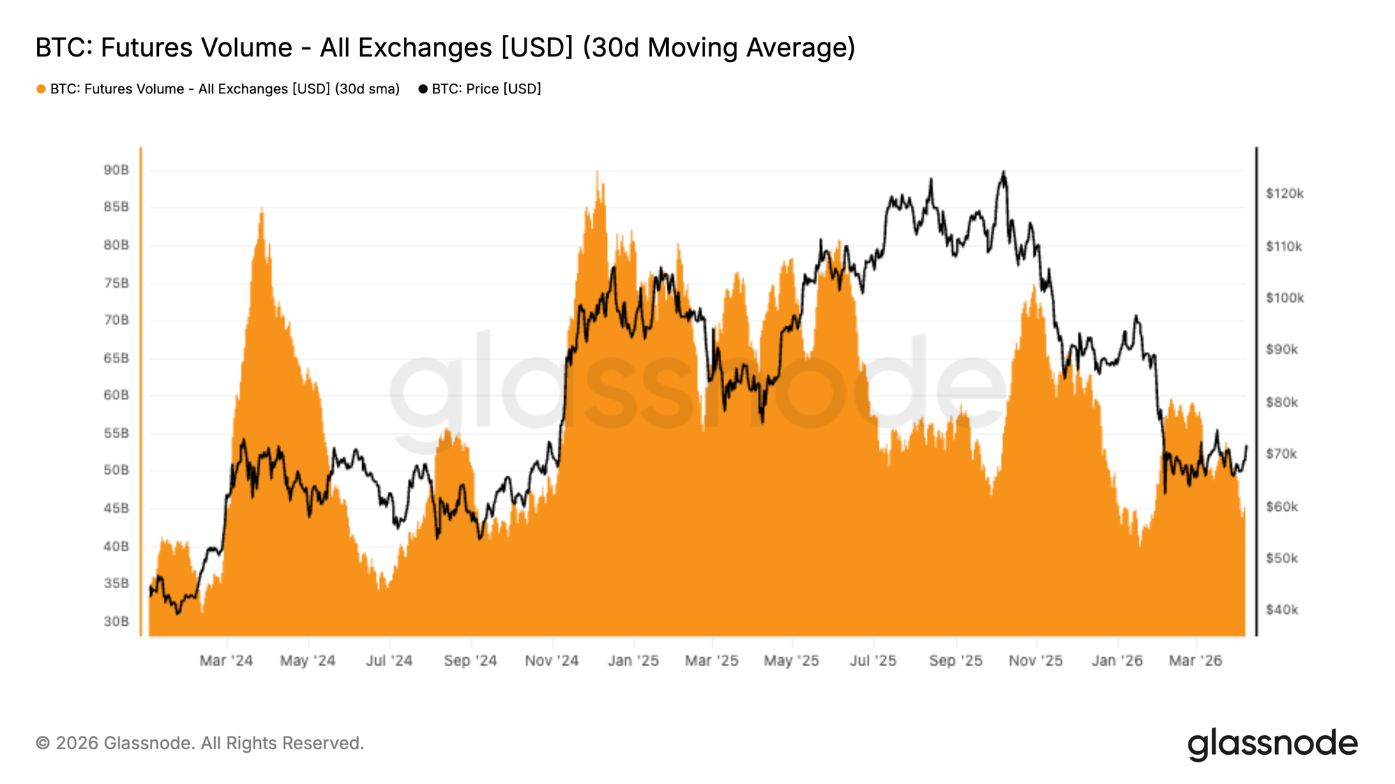 Bounce with a Bear 18