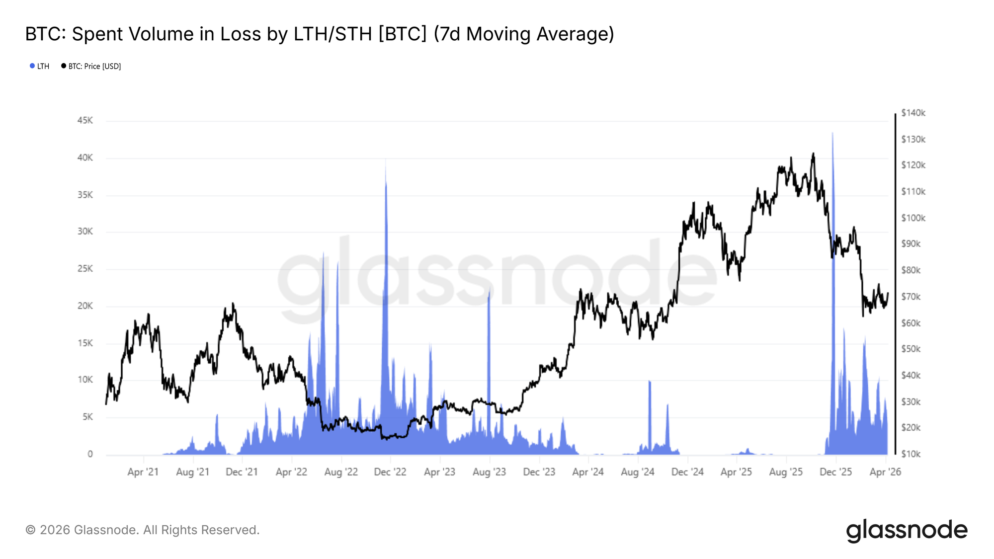 Bounce with a Bear 15