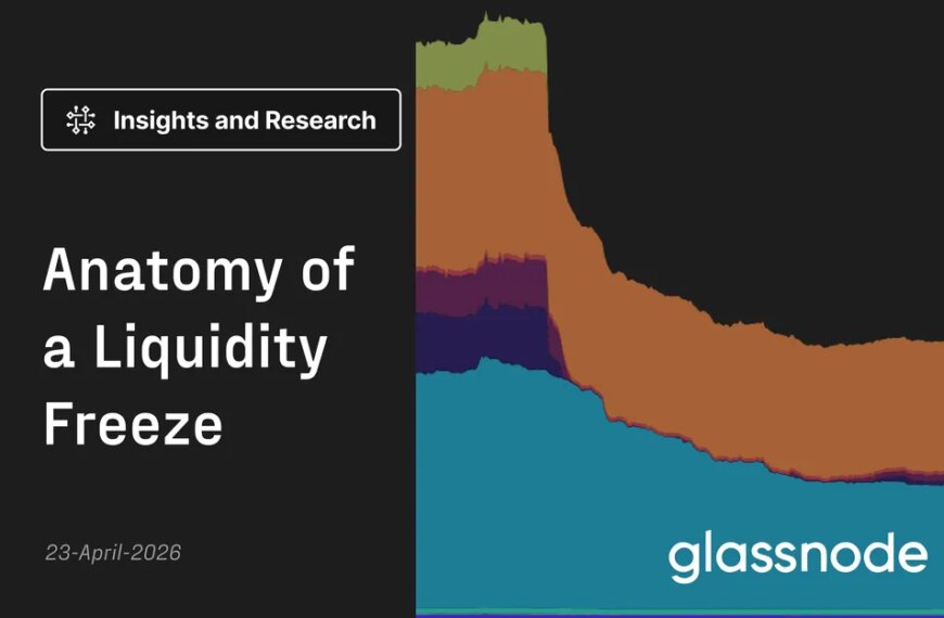 The Anatomy of a Liquidity Crisis
