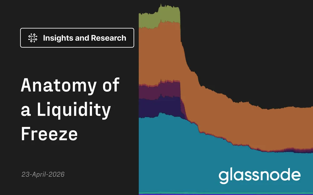 The Anatomy of a Liquidity Crisis 13