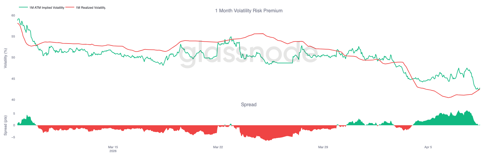 Bounce with a Bear 21