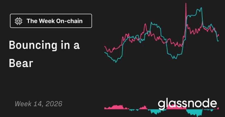 Bounce with a Bear 27