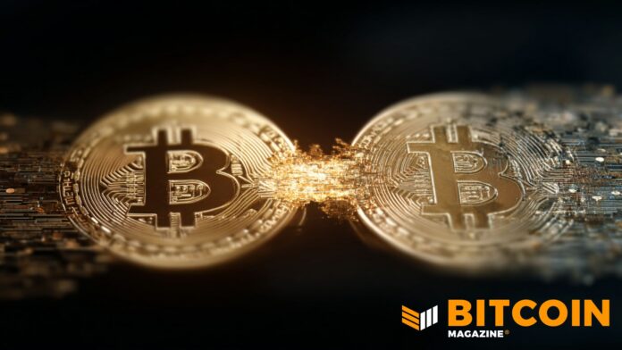 Tether Transfers Over $70 Million in Bitcoin to Its Reserves, On-Chain Information Reveals