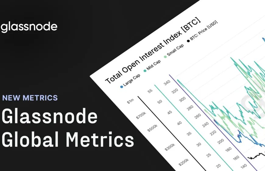 HOME 25 Global Metrics: Glassnode’s Comprehensive Analysis Beyond Just Price