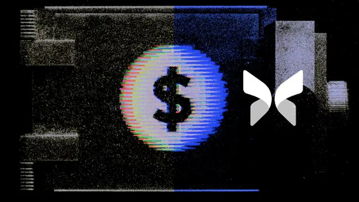 HOME 18 Wintermute Rolls Out Armitage USDC Vault on Morpho
