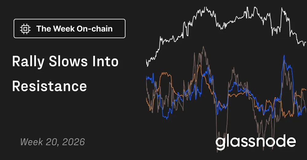 Slower Rally Meets Resistance 12