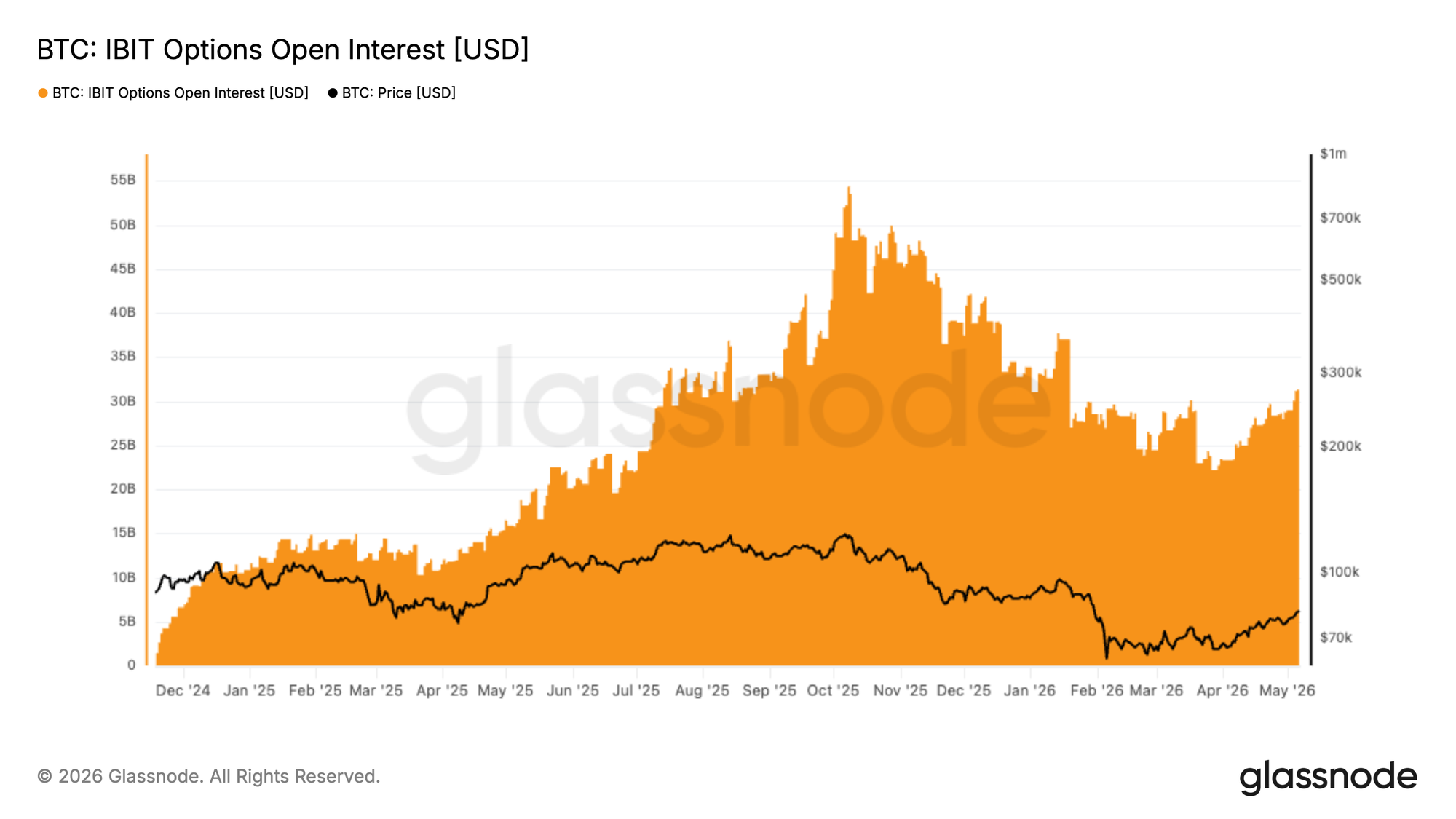 IBIT Option Metrics Live auf Glassnode 12 IBIT Option Metrics Live auf Glassnode 12