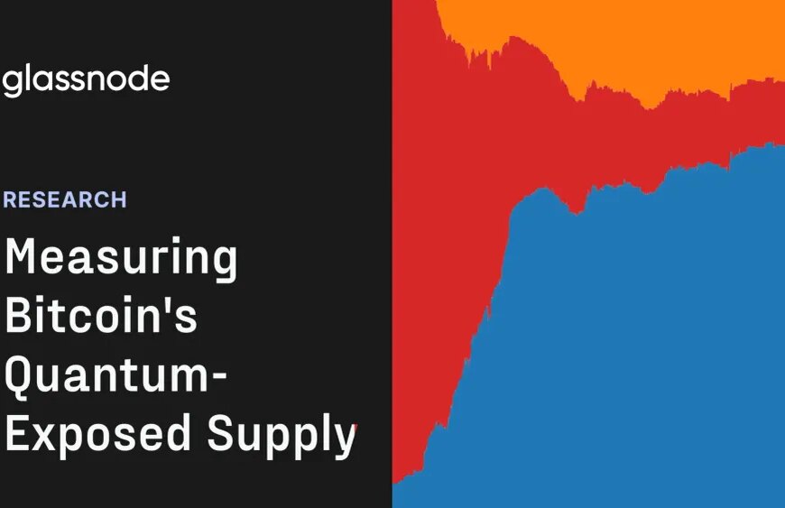 HOME 21 The Amount of Bitcoin Susceptible to Quantum Computing