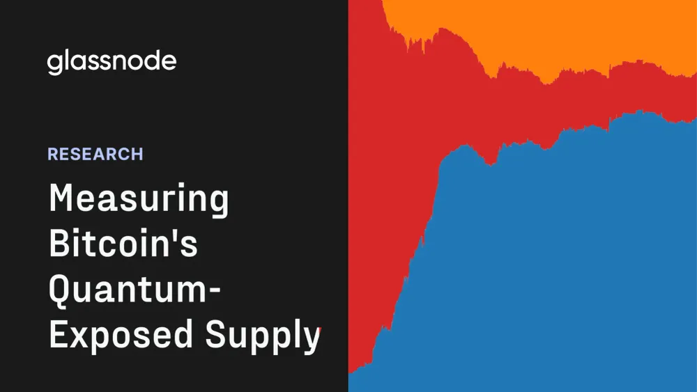 The Amount of Bitcoin Susceptible to Quantum Computing 10