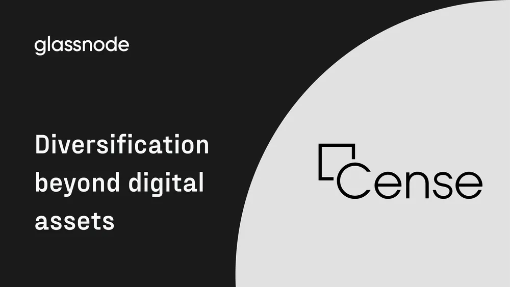 Diversification Past Digital Investments
