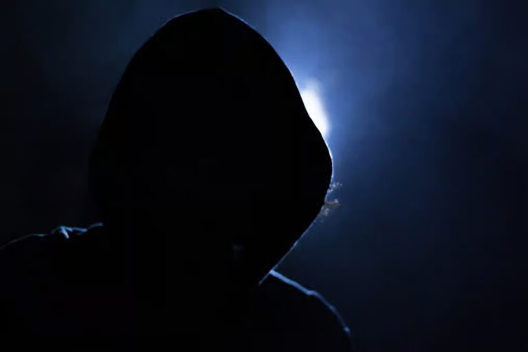 Bitcoin Kidnapper Pleads Guilty, Faces 20 Years 9