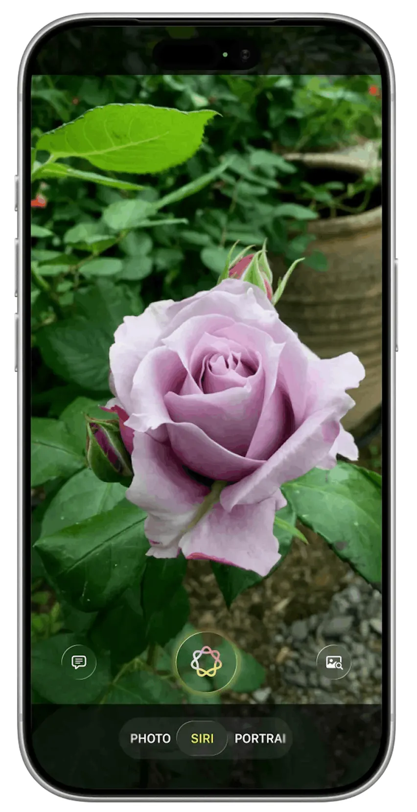 Siri's ChatGPT Makeover: iOS 17 Leaks Reveal Major AI Shift 6