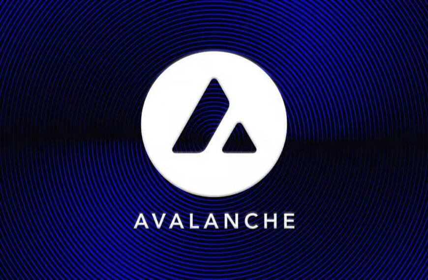 HOME 19 Avalanche Treasury’s AVAX Holdings Plummet 73%